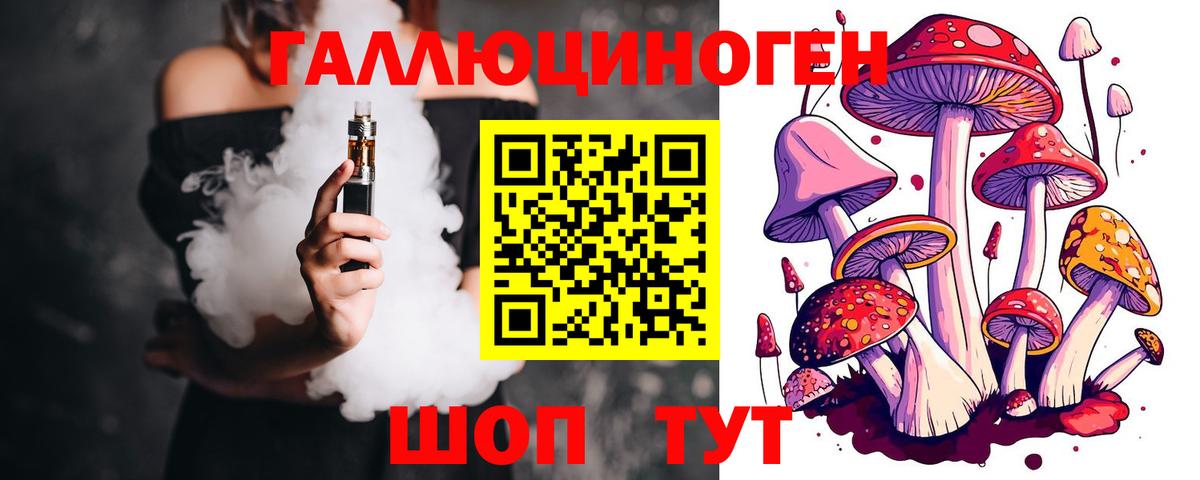 Галлюциногенные грибы MAGIC MUSHROOMS  Вход с VPN  Санкт-Петербург 